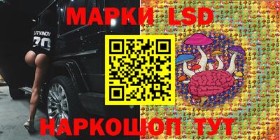 2c-b Моздок