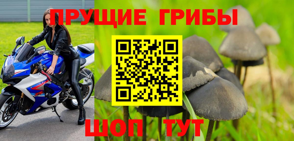 Псилоцибиновые грибы мицелий  Вход с VPN  Чебаркуль 