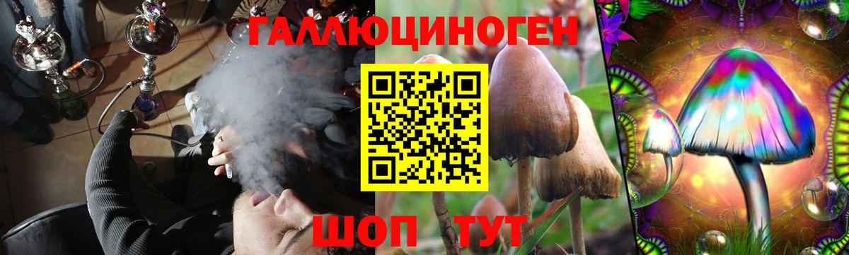 Псилоцибиновые грибы GOLDEN TEACHER Чебаркуль